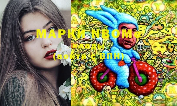 дмт Ельня