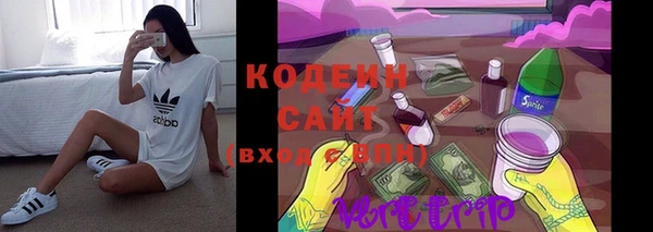 дмт Ельня