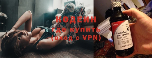 дмт Ельня