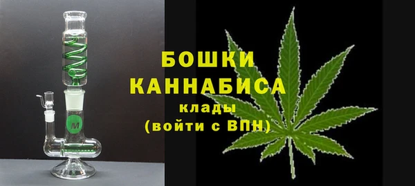 дмт Ельня