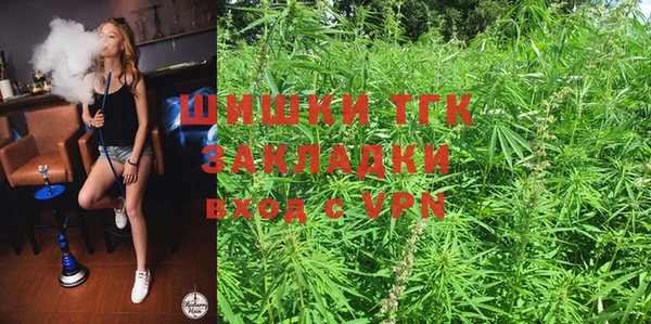 дмт Ельня
