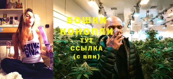 дмт Ельня