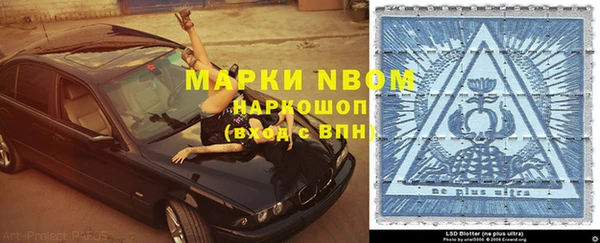 дмт Ельня