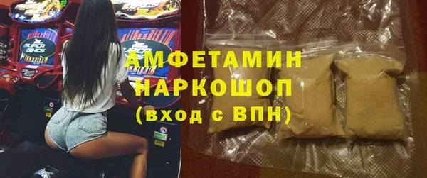 дмт Ельня