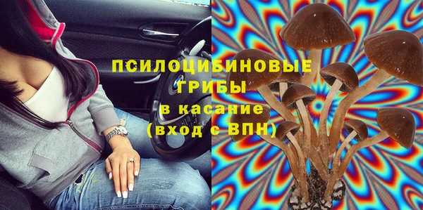 винт Елизово